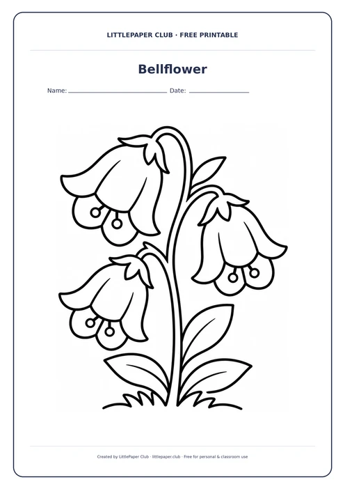 Bellflower Coloring Page