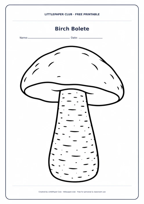 Birch Bolete Coloring Page