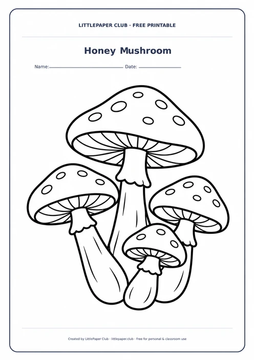 Honey Mushroom Coloring Page