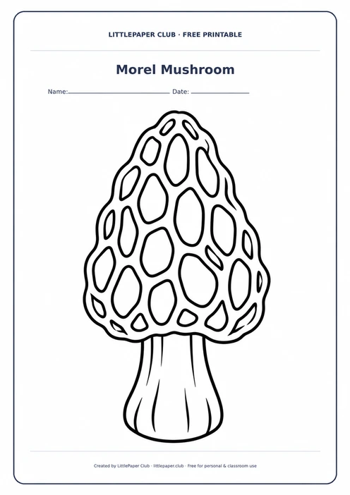 Morel Mushroom Coloring Page