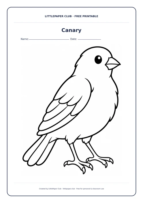 Canary Coloring Page