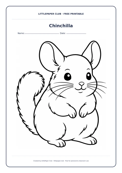 Chinchilla Coloring Page