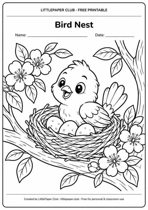 Bird Nest Coloring Page